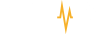 paypulse